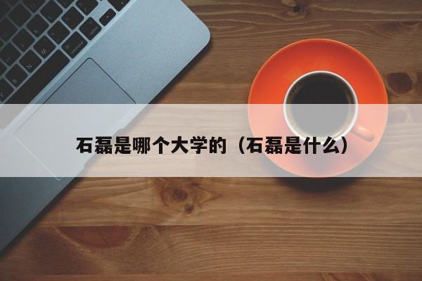 石磊是哪个大学的(石磊是什么)