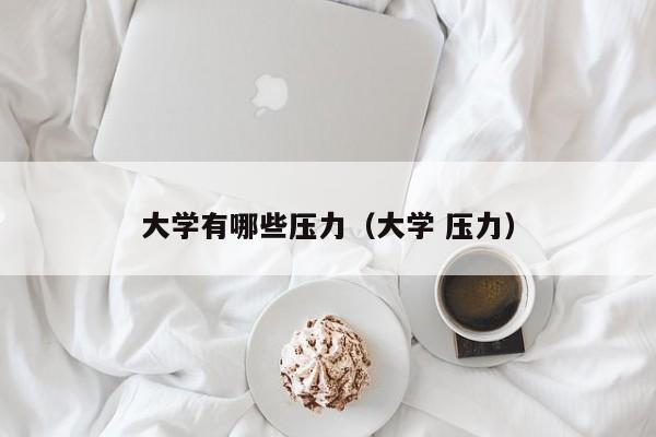 大学有哪些压力(大学 压力)